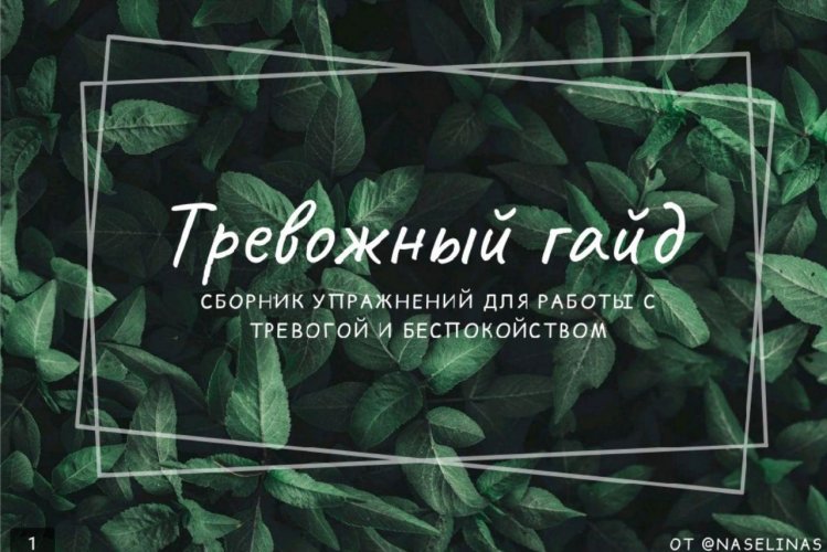 [@naselinas] Тревожный гайд_0.jpg